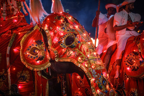 From Colombo: 2-Day Curated Kandy Esala Perahera Experience