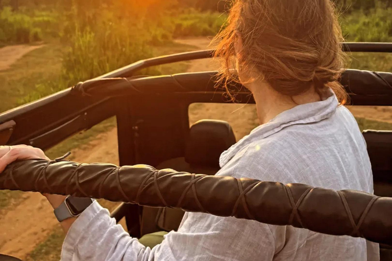From Sigiriya: Hurulu Eco Park Sunset Jeep Safari