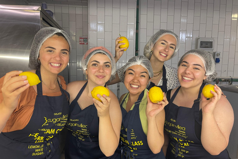 Sorrento : Gelato-Making Class with Tasting and Recipes