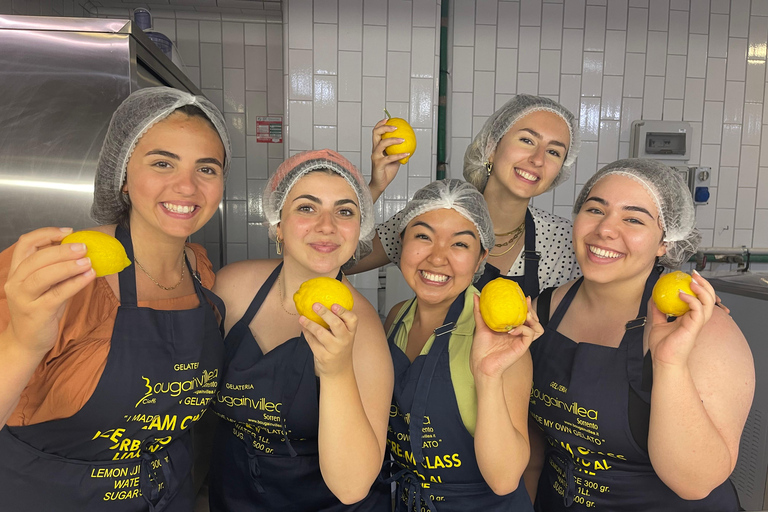 Sorrento : Gelato-Making Class with Tasting and Recipes
