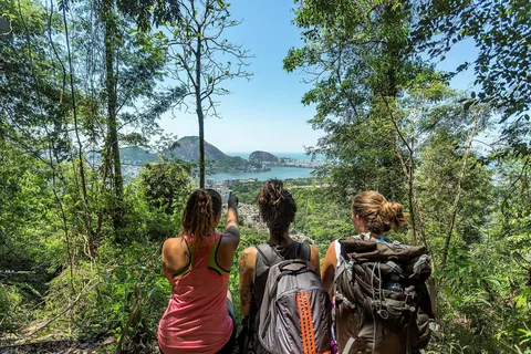 Explore Tijuca Forest: Mayrink Chapel and Taunay Waterfall.