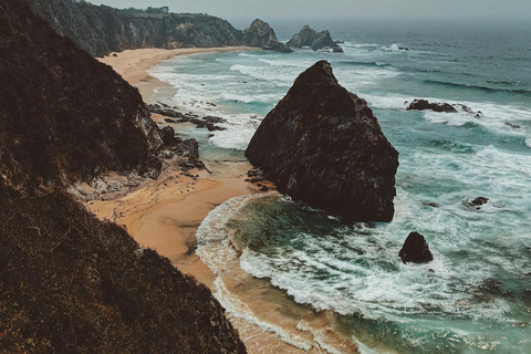 Melbourne: Excursão panorâmica de um dia pela Great Ocean Road