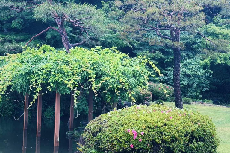 Tokyo: Shinjuku Gyoen Garden Entry & Digital Tea House Guide