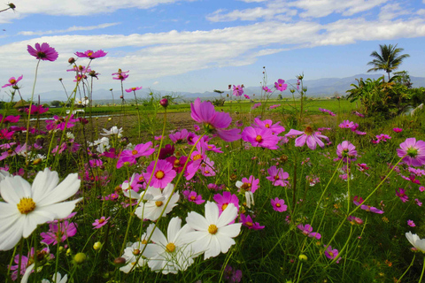 Chiang Mai: 25 km di tempo libero in mountain bike e kayak nella giunglaDa Chiang Mai: tour in bici e kayak