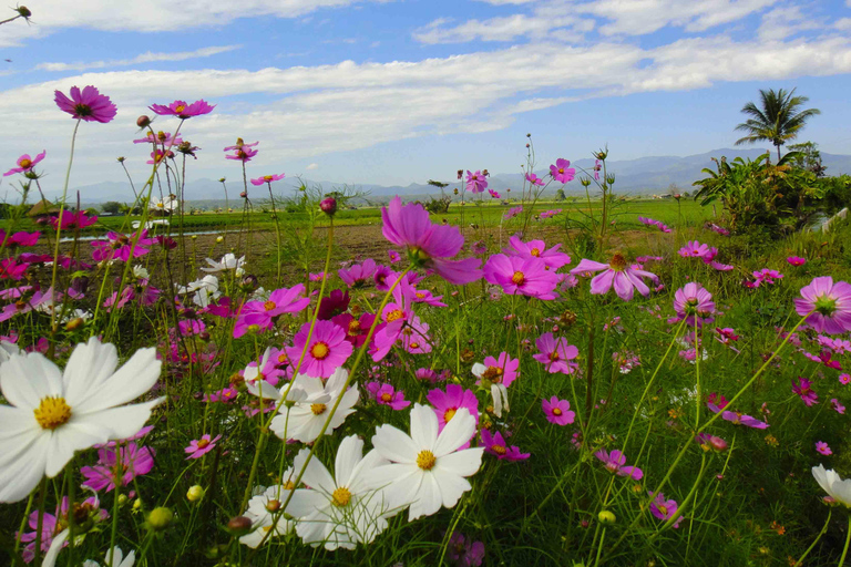 Chiang Mai: 25 km di tempo libero in mountain bike e kayak nella giunglaDa Chiang Mai: tour in bici e kayak