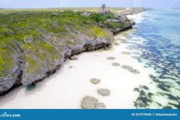 Floresta de Jozani e praia de Mende