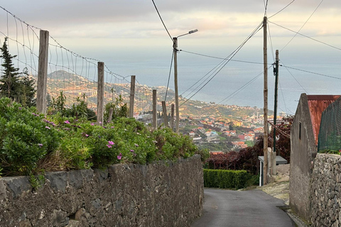 Madeira: Exotic Birds & Valleys 4x4 Safari with Local Guide Shared Exotic Birds & Valleys 4x4 Expedition Local Guide