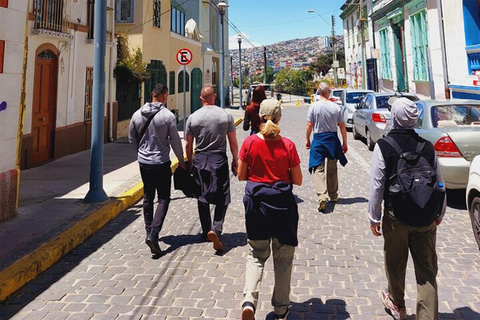 Port de Valparaiso et Viña del Mar, dégustation de vins à Casablanca