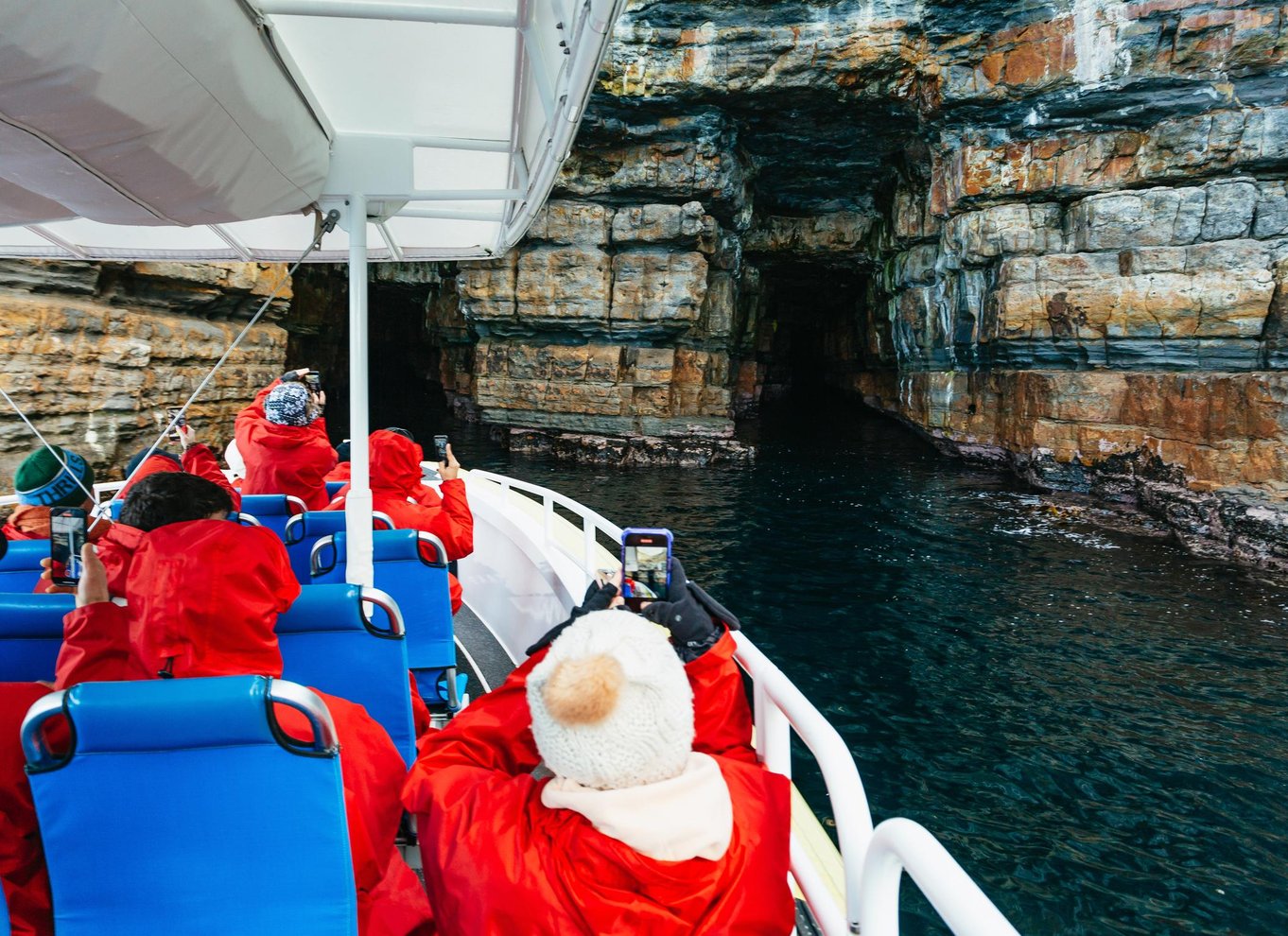 Fra Port Arthur: Tasman Island krydstogt i vildmarken