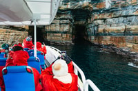 Da Port Arthur, Tasman Island Wilderness Cruise - Housity