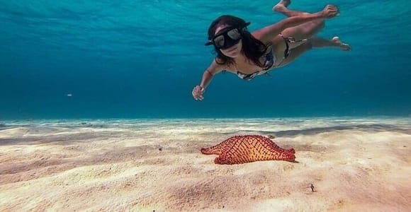 Cozumel: Glass-bottom Boat Snorkeling Adventure