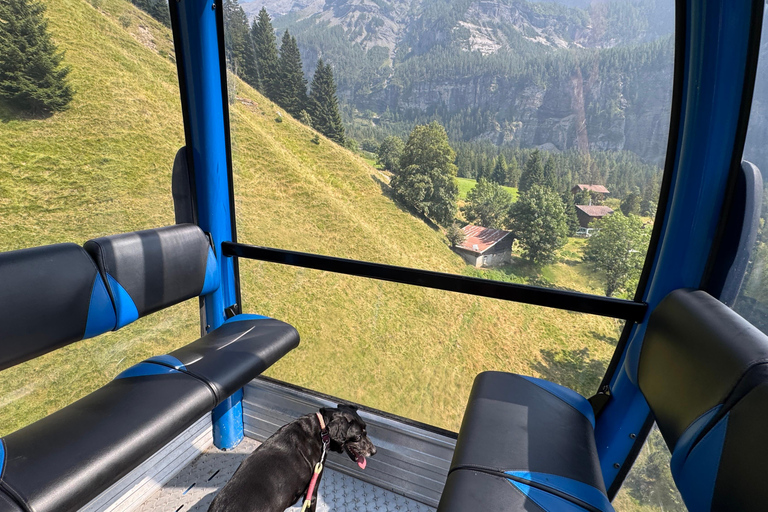 Au départ de Zurich : excursion privée d&#039;une journée à pied vers le lac turquoise d&#039;OeschinenseeAu départ de Zurich : excursion privée d&#039;une journée avec randonnée au lac t