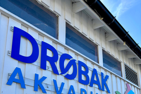 From Oslo: Drøbak and Oscarsborg Fortress Day Trip