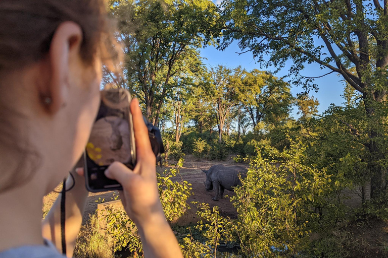 Safari game drive and rhino walk