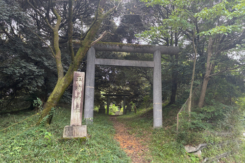 Tokyo: Lake Tama E-Bike Tour with Matcha Break