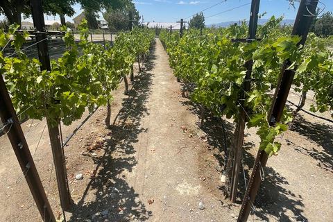 Visite panoramique de Las Vegas/Pahrump avec dégustation de vin et nourritureLas Vegas / Pahrump Dégustation de vins et collations