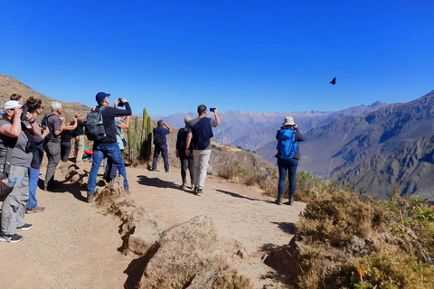 Canyon de Colca Plus 2 jours