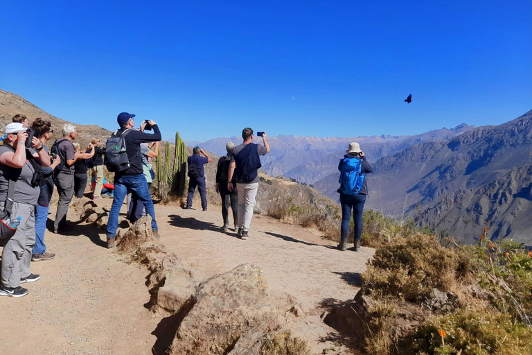 Cañón del Colca Plus 2 dias