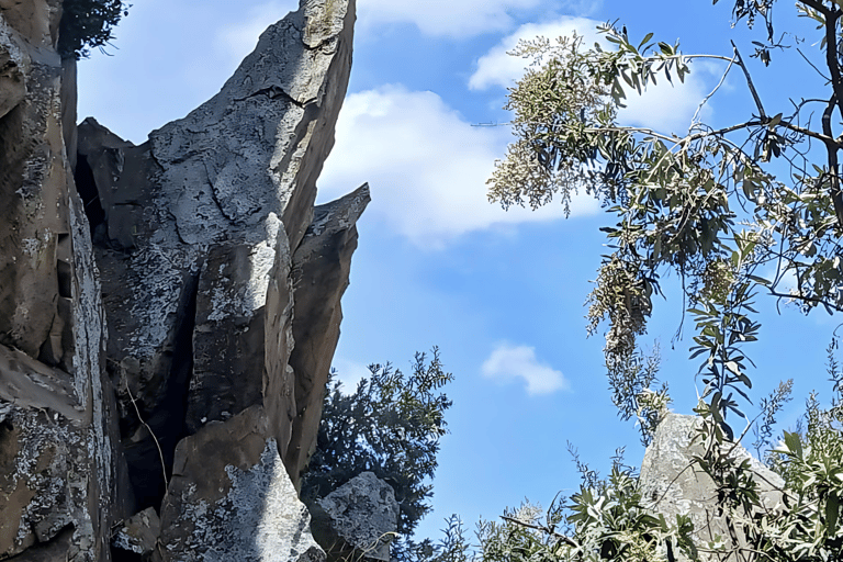 Hell's Gate-fietstocht &amp; Crescent Island-boottochtHell's Gate-fietstocht Crescent Island-boottocht GEEN TOEGANGSPRIJS