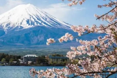Tokyo: Mount Fuji and Hakone Hidden Gems Tour