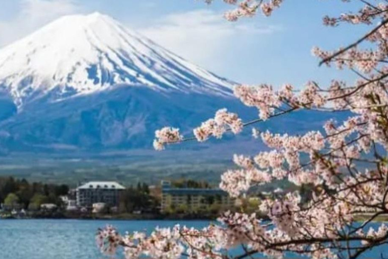 Tokyo: Mount Fuji and Hakone Hidden Gems Tour