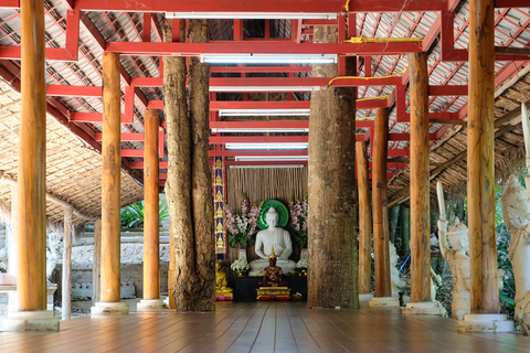Chiang Mai: Monk's Trail Hike, Wat Pha Lat & Doi Suthep Tour Small Group Tour