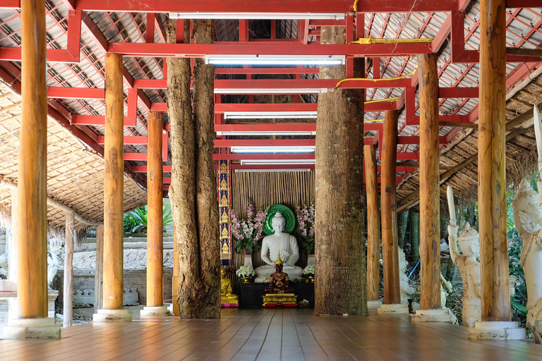 Chiang Mai: Monk's Trail Hike, Wat Pha Lat & Doi Suthep Tour Small Group Tour