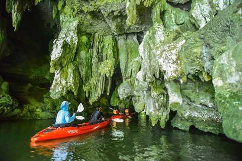 Krabi: Półdniowa wycieczka kajakiem po namorzynach Bor Thor