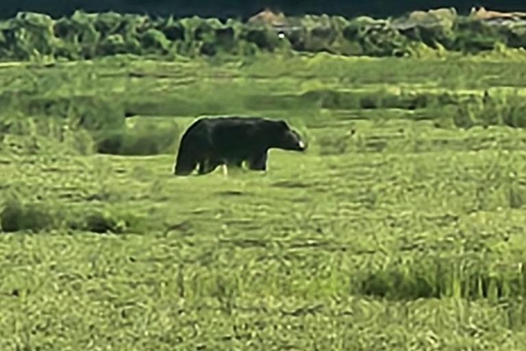 Vancouver : Excursion d'une journée à Whistler avec trajet en télécabine Sea to SkyVancouver : excursion d'une journée à Whistler avec la télécabine Sea to Sky