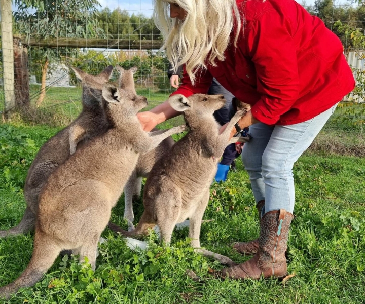 Coonawarra: Caves, Cabernet, & Kangaroos Day Tour & Lunch