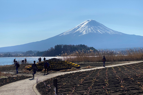 Tokyo: Mount Fuji Private Customizable Tour In Luxury Van