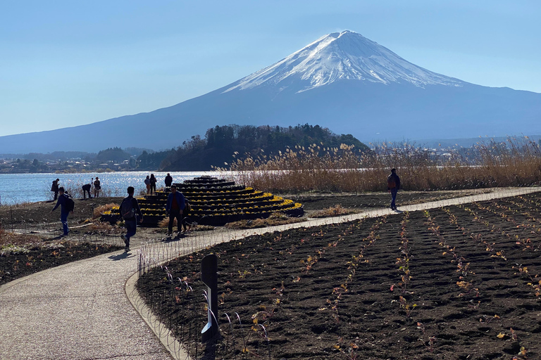 Tokyo: Mount Fuji Private Customizable Tour In Luxury Van