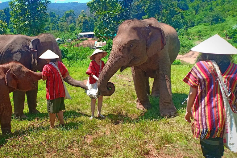 Chiang Mai: Santuario degli elefanti Custodi locali della tribù delle colline