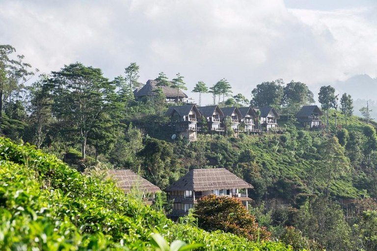 Colombo: Ella Day Trip with Nine Arch Bridge & Ravana Falls