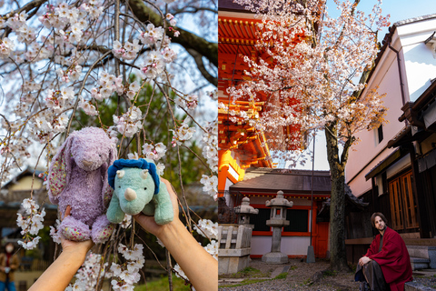Kyoto: Private Cherry Blossom Photoshoot