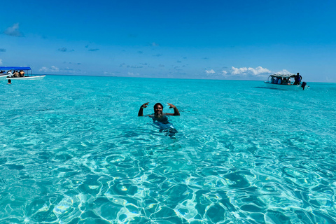 Mnemba Island: Delfiner och snorkling med gratis upphämtningDelad tur: Gratis upphämtning i Nungwi/Kendwa och Mnemba-avgifter