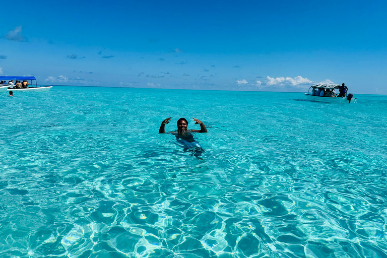 Mnemba Island: Delfiner och snorkling med gratis upphämtningDelad tur: Gratis upphämtning i Nungwi/Kendwa och Mnemba-avgifter