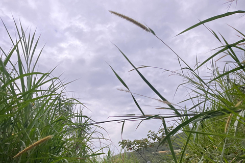 MEDELLÍN: Hiking to the Clouds: Explore the Cerro de las 3 Cruces (3 Crosses Hill)