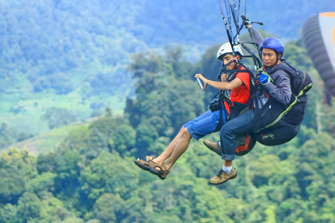 Excursion à Jakarta : Parapente au sommet d'une montagne et plantation de thé