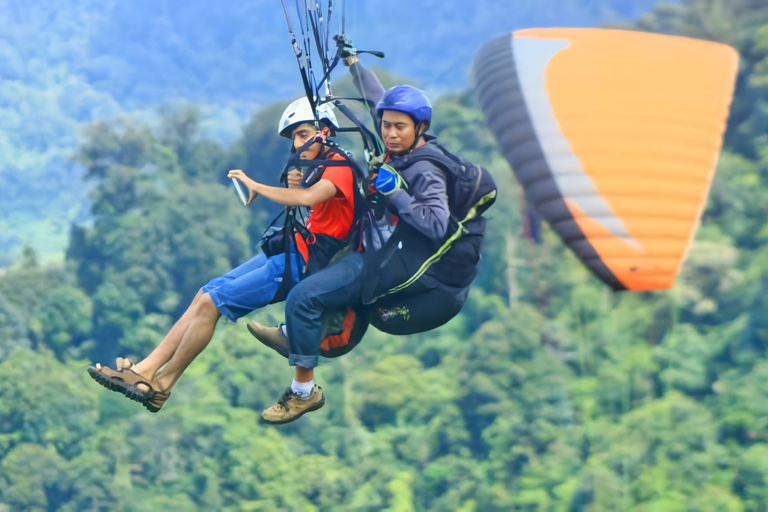 Passeio em Jacarta : Parapente no topo da montanha e plantação de chá