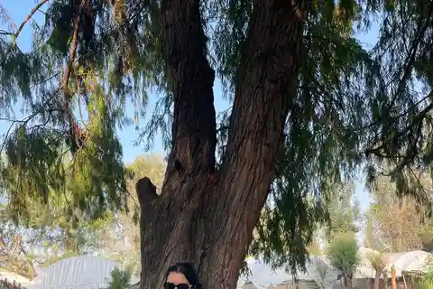 Xochimilco tradicional