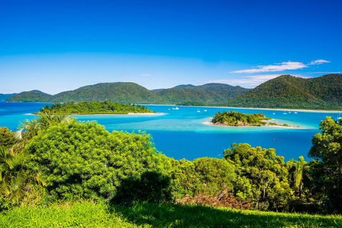 Airlie Beach: Whitsundays Mainland Eco Tour & Brewery Visit