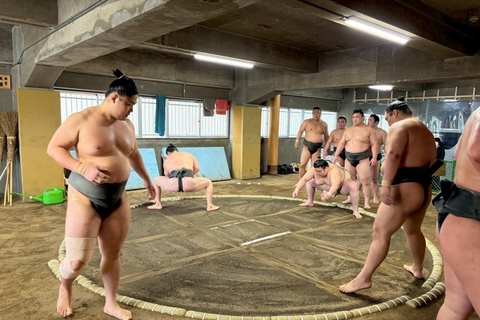 Osaka: Authentic Sumo Morning Practice & Chanko Lunch Authentic Sumo Morning Practice Viewing 【Only viewing】