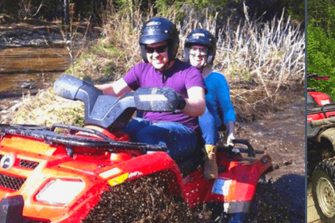 Bird Creek: Chugach State Park ATV Nature Tour & Hike Afternoon Adventure - Single ATV