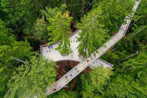 Bavarian Forest: Treetop Walk & Egg Tower Experience