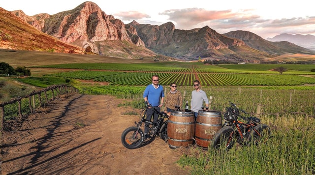 Full-Day Winelands E-Bike Tour with Wine Tasting & Lunch