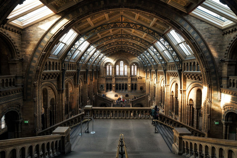 Londres: Museo de Historia Natural Franja horaria de entrada y audioguíaTicket de entrada con guía portuguesa en la aplicación