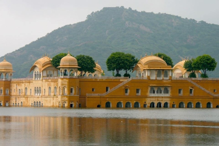 From Delhi: Jaipur Private Day Tour with Transfers Only Transport & Guide
