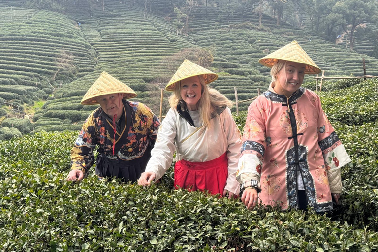 Hangzhou: Small-Group Day Trip from Shanghai by Bullet Train