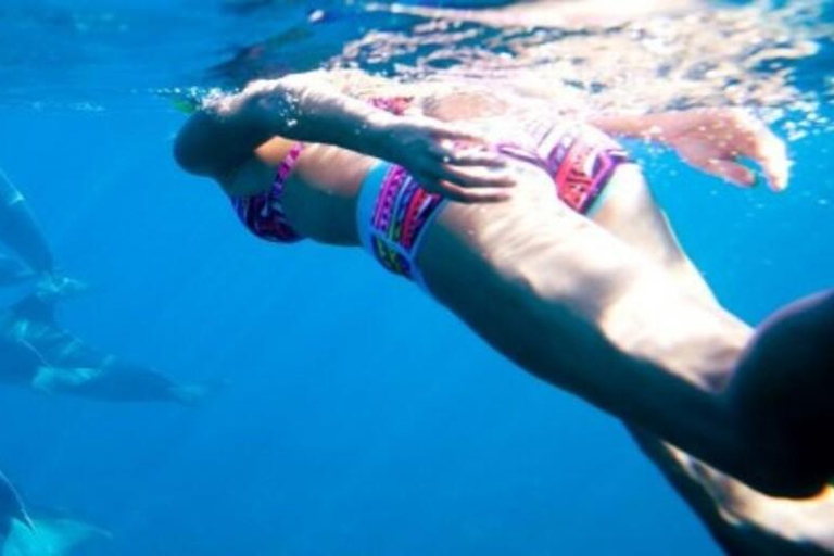 Tropical Tide: Mnemba Snorkel & Dolphin Tour